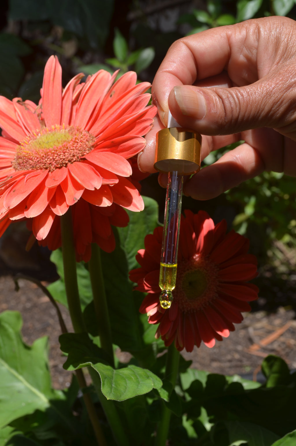 Glow serum face oil 2 oz