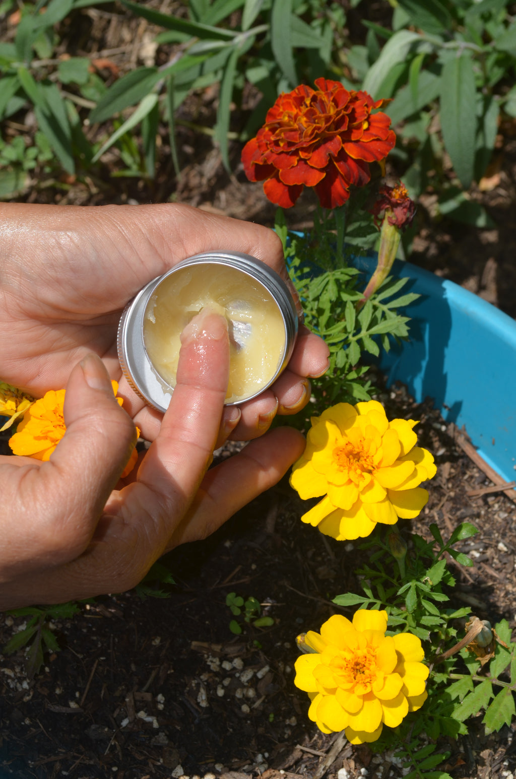 Hibiscus Saffron Balm (face moisturizer)