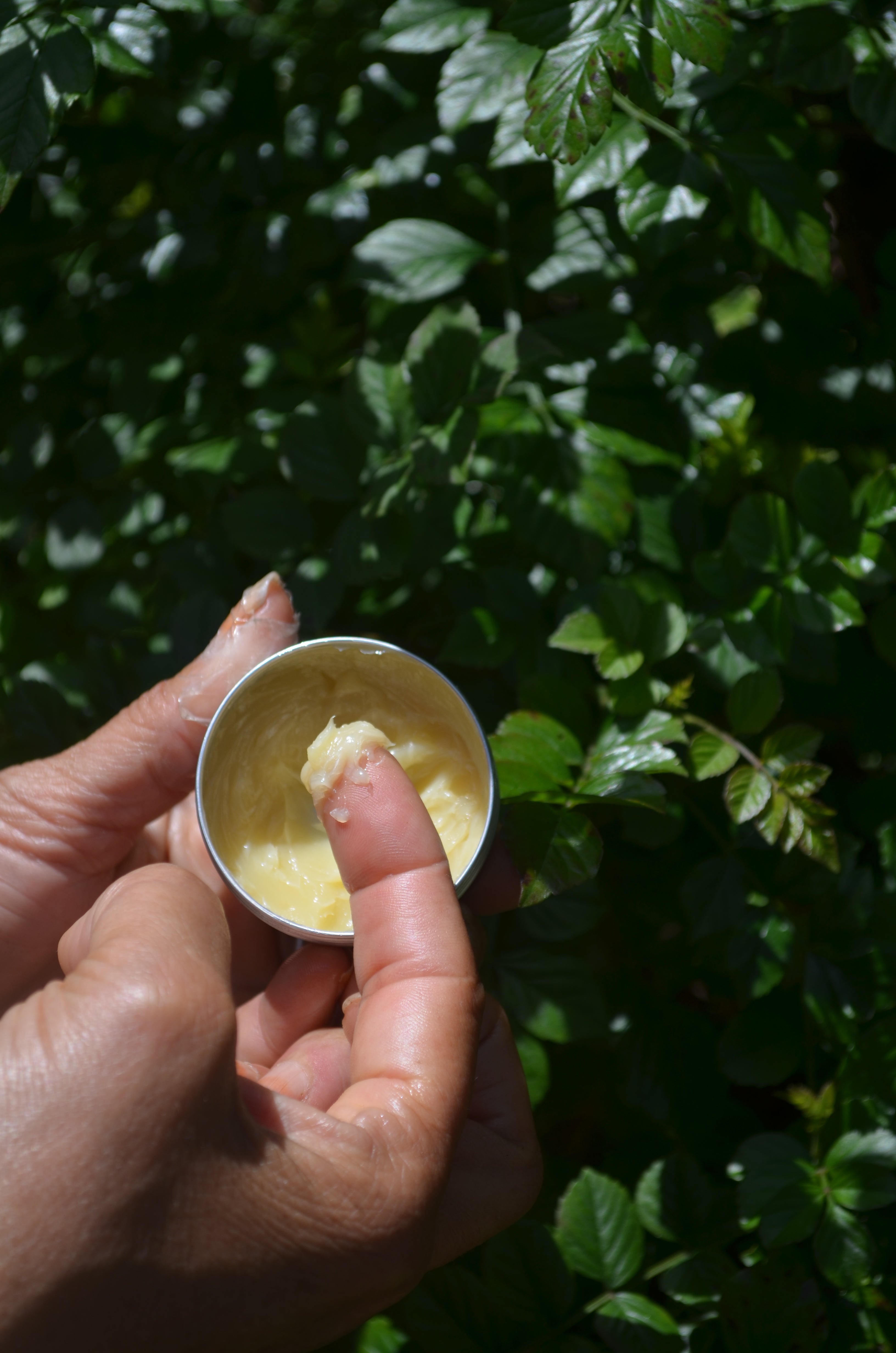 Frankincense  Balm ( face moisturizer)