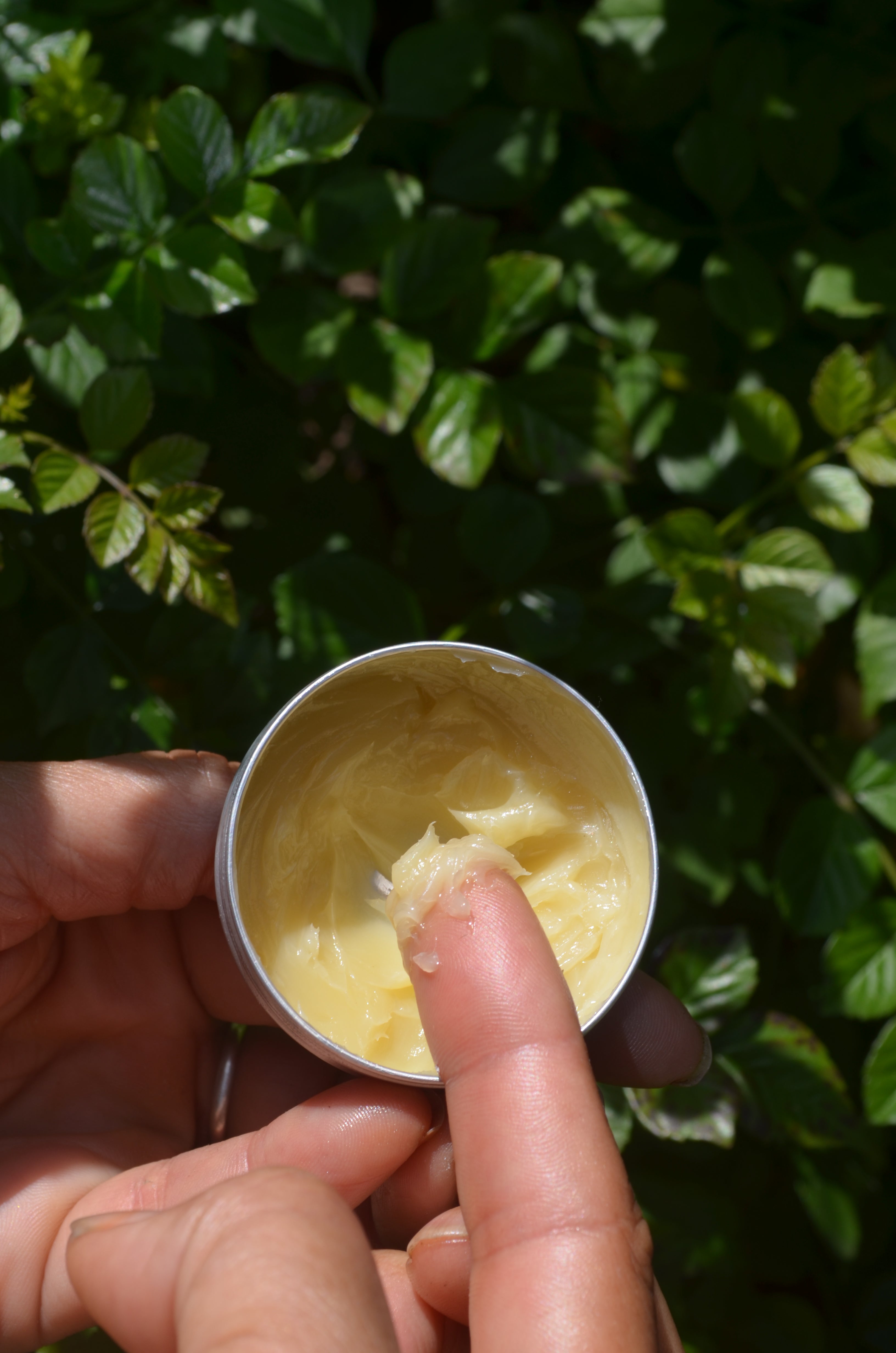 Ginger Lemon Honey Balm (face moisturizer)
