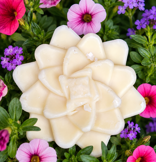 Coco body balm