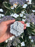 Hibiscus soap