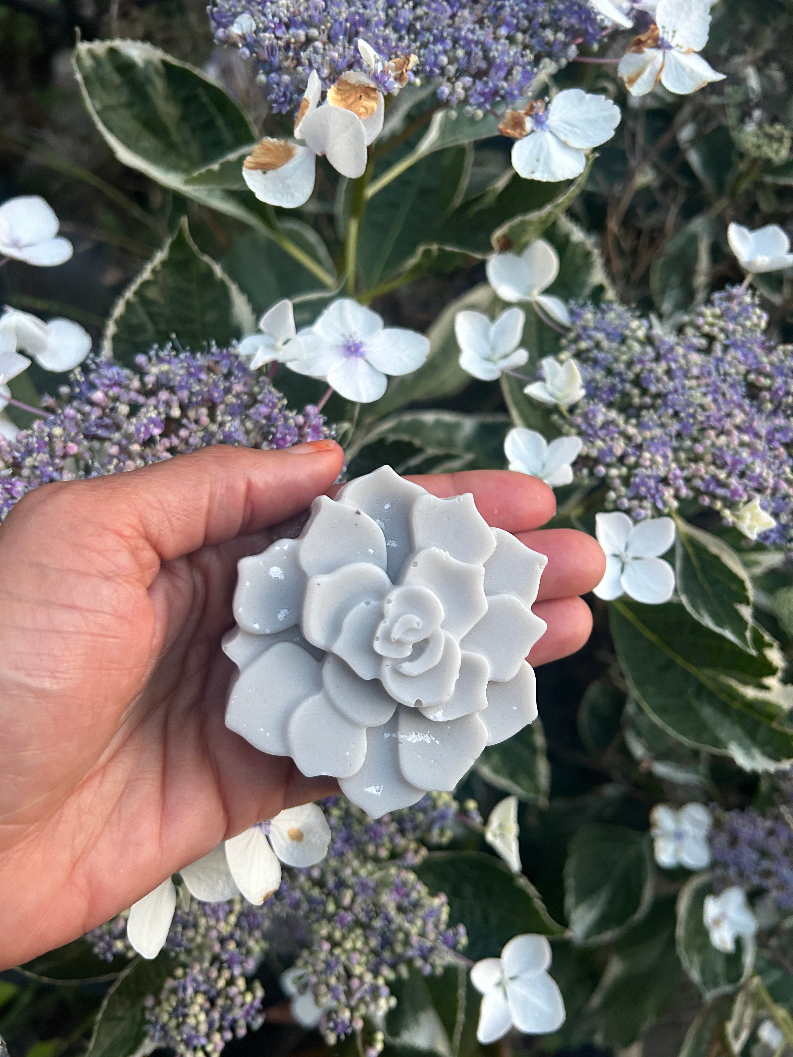 Hibiscus soap
