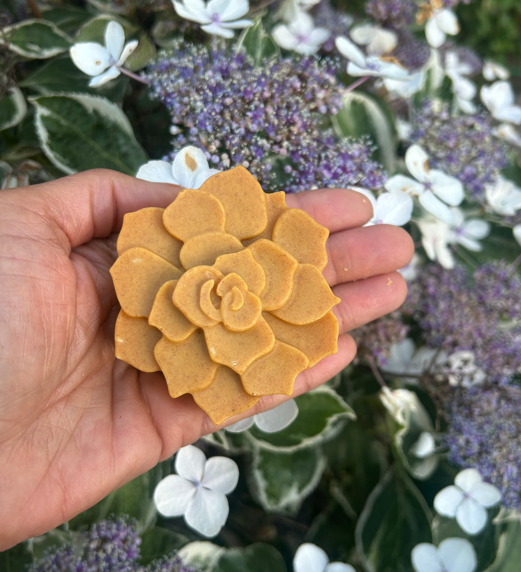 Turmeric sea moss soap