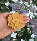 Turmeric sea moss soap