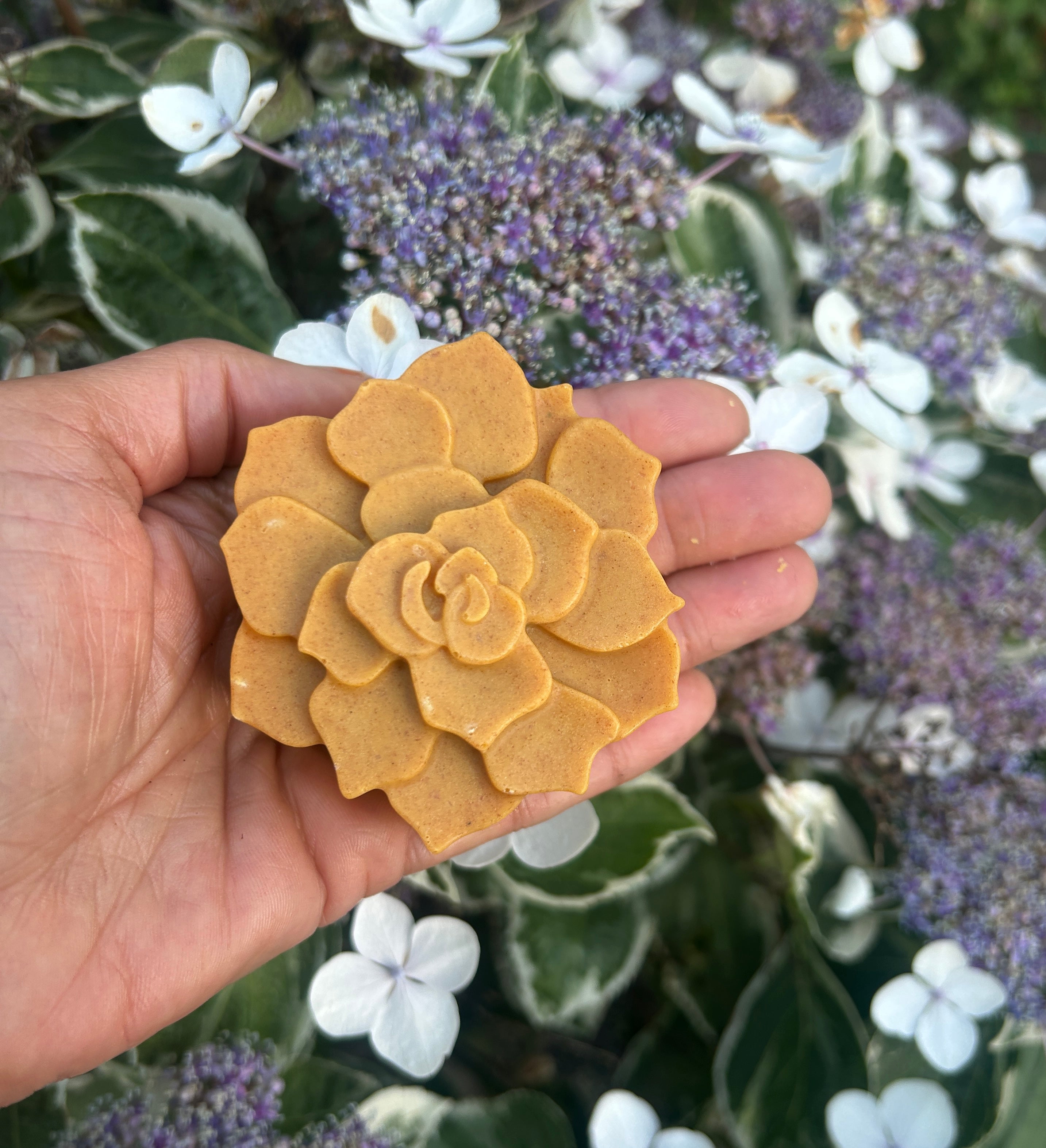 Turmeric sea moss soap